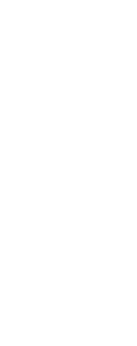 北海道日高拉麺処「静王」